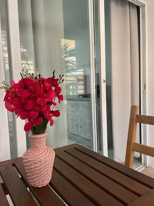 Blue Island Beachfront Apartment Πούντα Κάνα