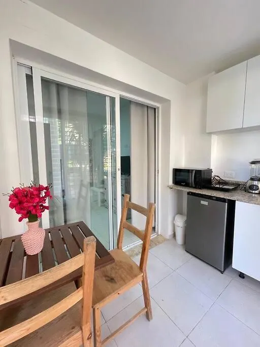 Blue Island Beachfront Apartment Πούντα Κάνα